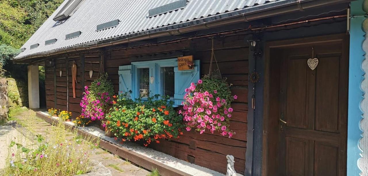 Wsiowa Chata Scinawka Gorna Экстерьер фото